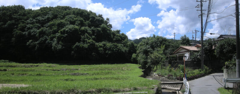 地域商社の現状と課題